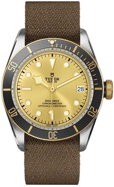 Tudor Heritage Black Bay M79733N-0006 Replica watch